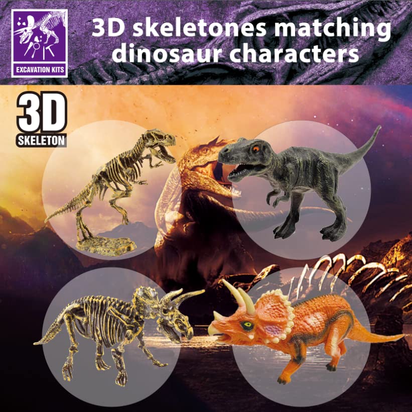 10Leccion T-Rex skeleton puzzle image—engaging 3D puzzle for dinosaur lovers.