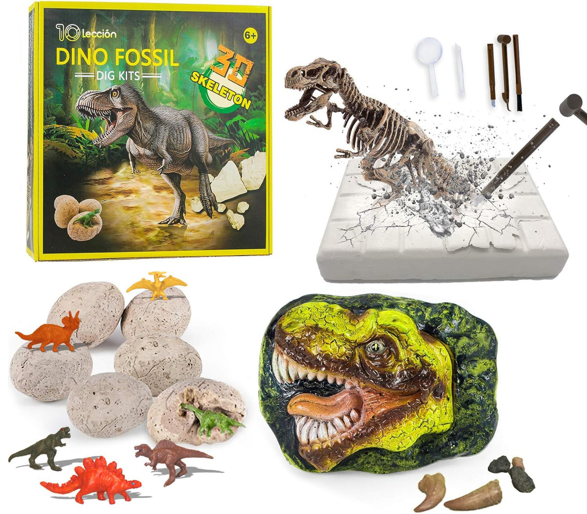 10Leccion Dinosaur Head Fossil: kids uncover fossils with hands on discovery
