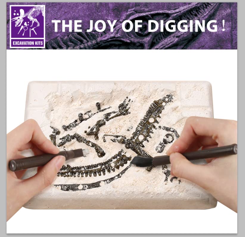 10Leccion Educational science kit interior—great project for home or classroom.