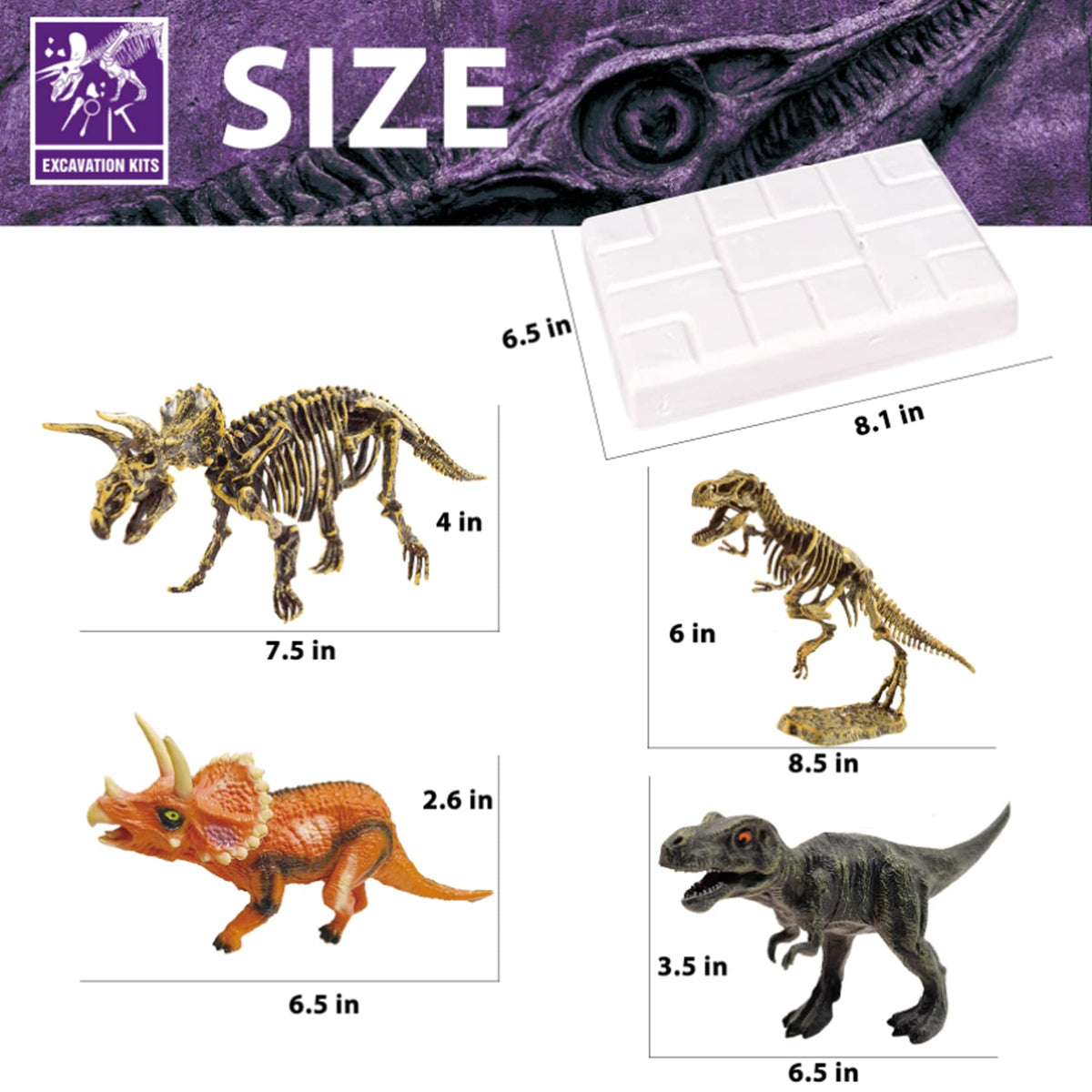 10Leccion Gypsum digging material—safe excavation experience for children.
