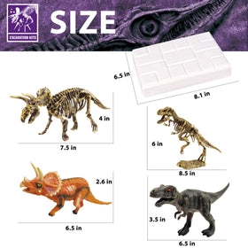 10Leccion Gypsum digging material—safe excavation experience for children.