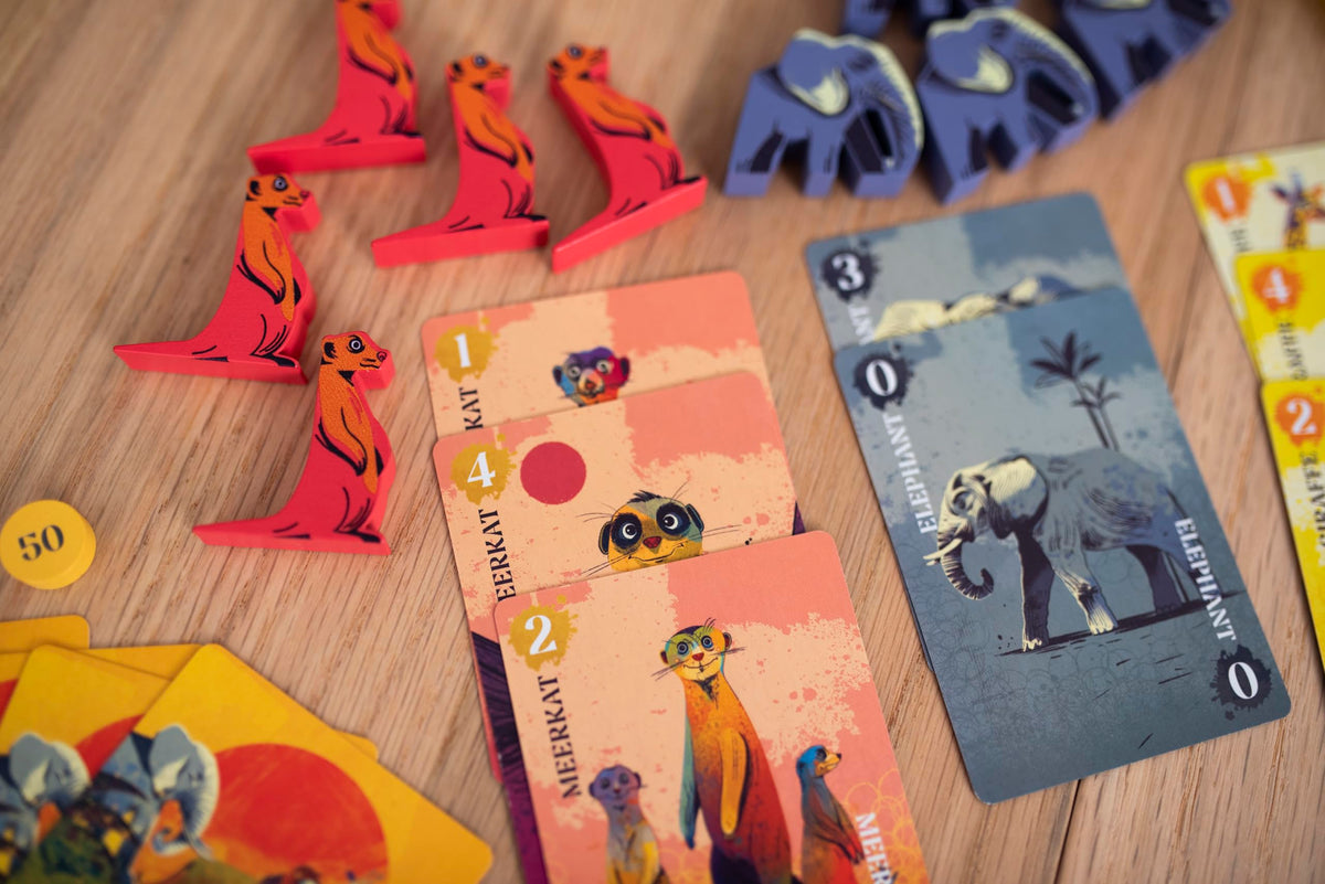 Botswana family game night setup with multiple players