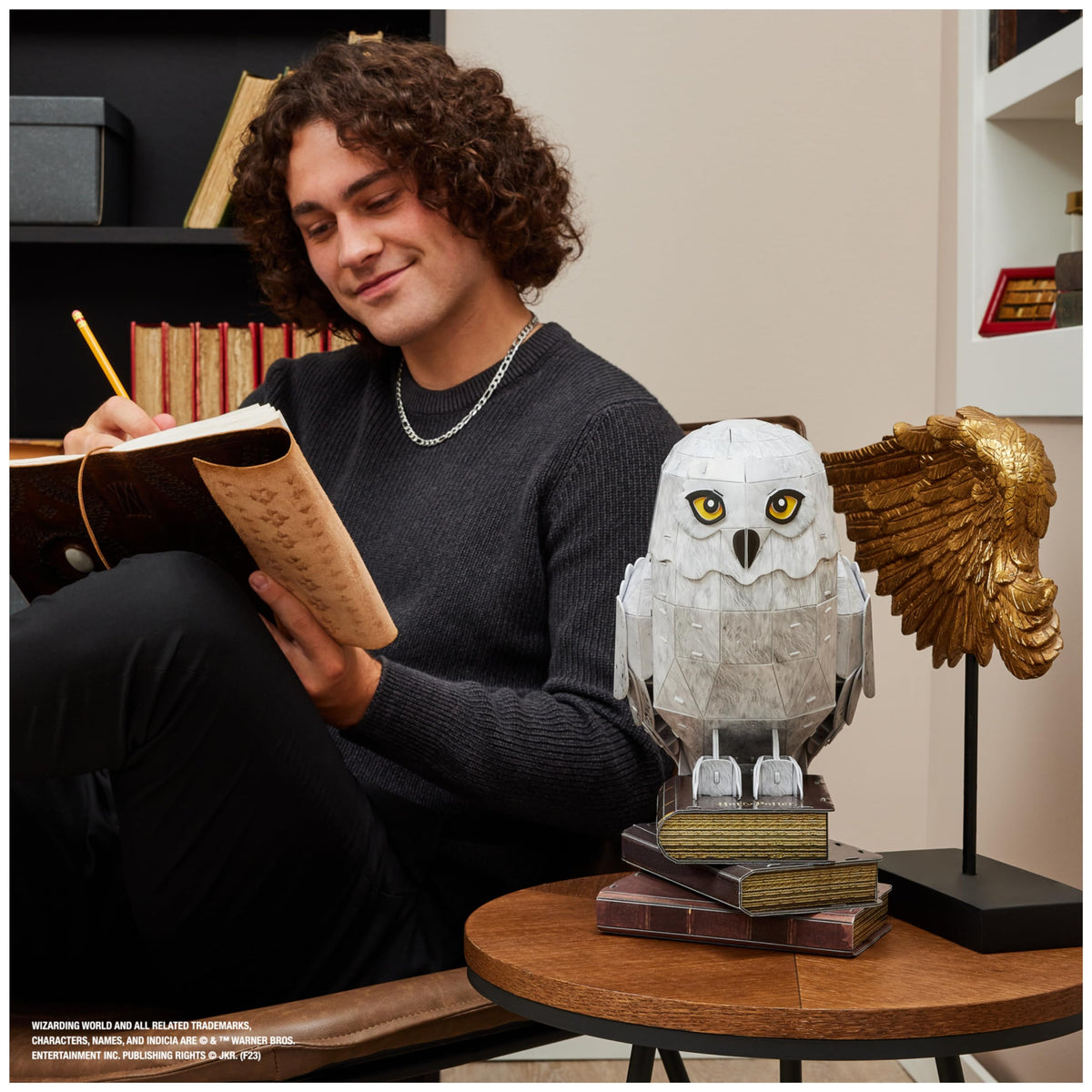 Hedwig fits with other Potter sets like Diagon Alley for collectors