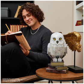 Hedwig fits with other Potter sets like Diagon Alley for collectors
