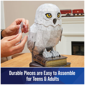 Hedwig dimensions shown for desktop display and shelving