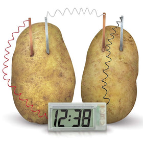 4M Potato Clock classroom demo sparks STEM curiosity and hands-on engagement.