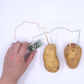 4M Potato Clock experiment with liquids shows responsive clock behavior.