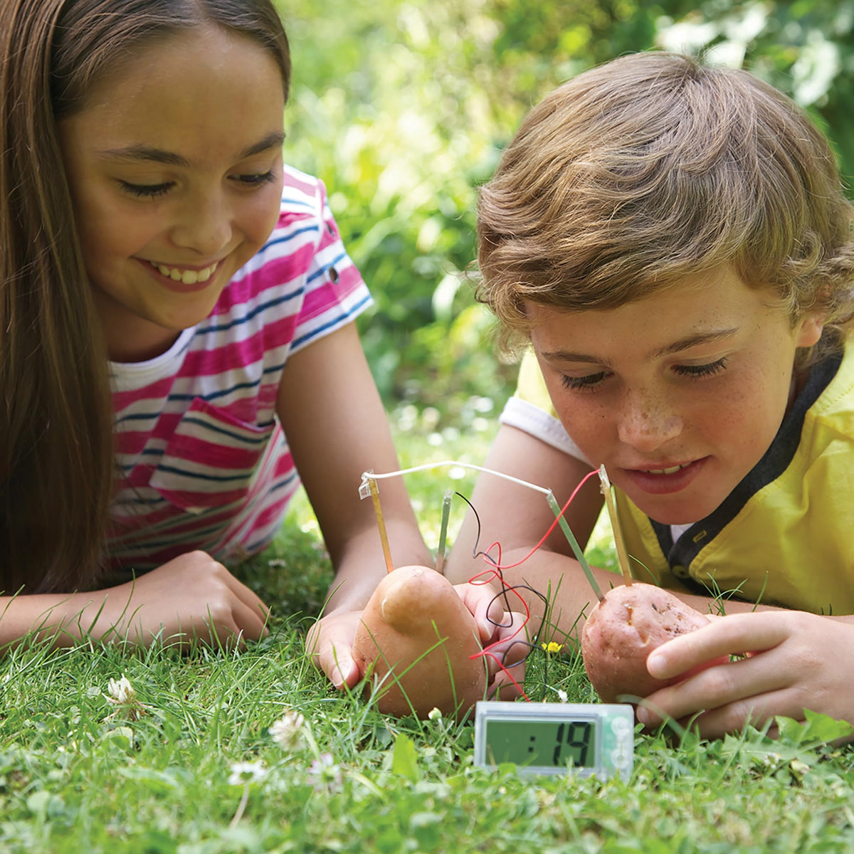 4M Potato Clock potato energy source invites hands-on science exploration.