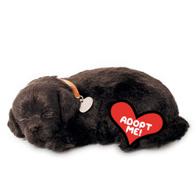 88 Unlimited Perfect Petzzz Black Lab with breathing motion for lifelike companionship.