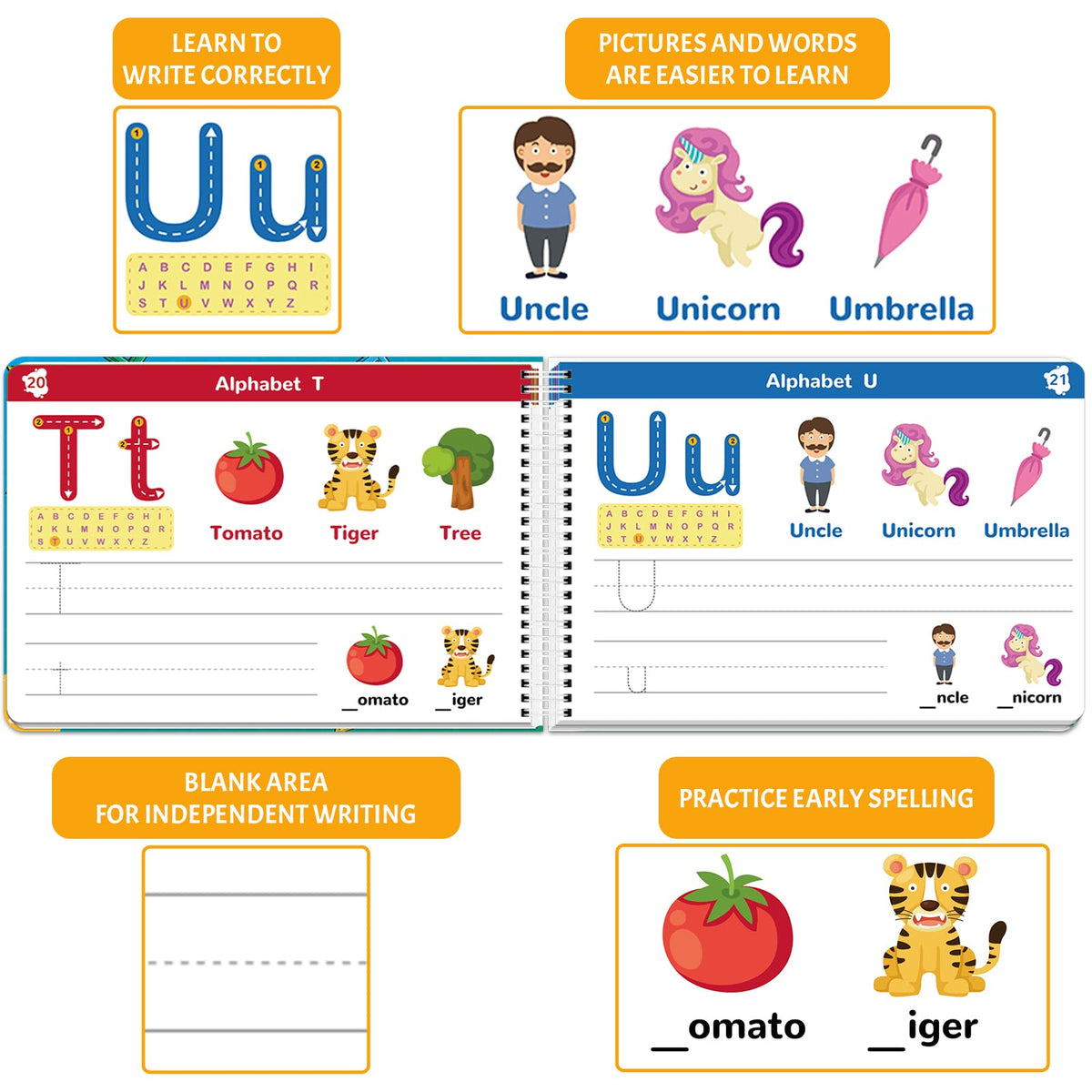 ABERLLS double-sided activity pages offer versatile, mess-free practice
