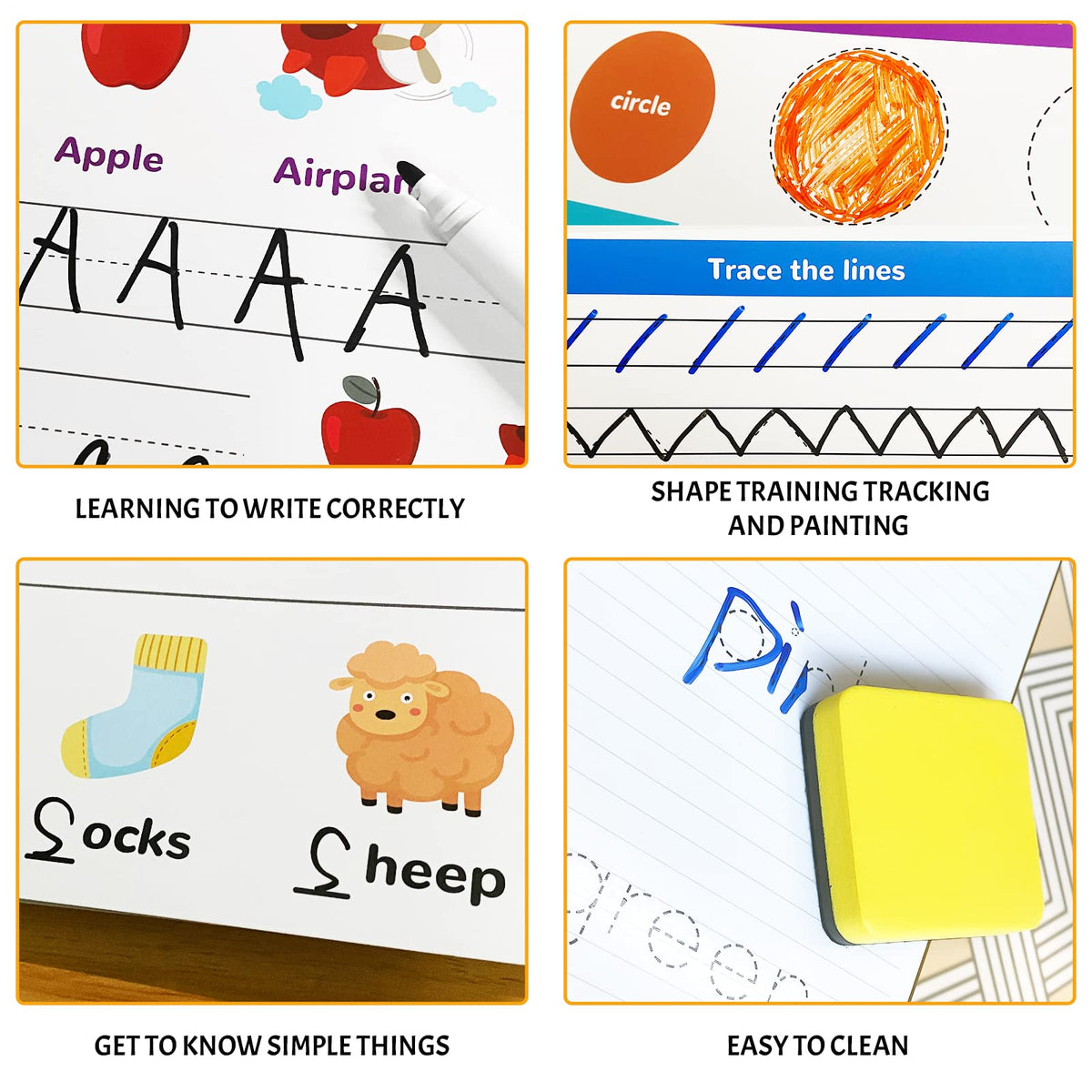 ABERLLS shapes and animals activities foster pattern recognition and memory