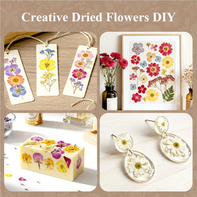 Aboofx gift-ready kit for nature lovers and crafters