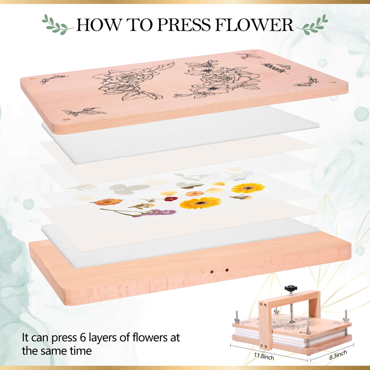 Aboofx six sponge and drying plates with lining papers ready for use