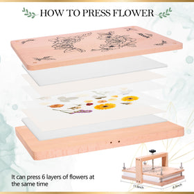 Aboofx six sponge and drying plates with lining papers ready for use