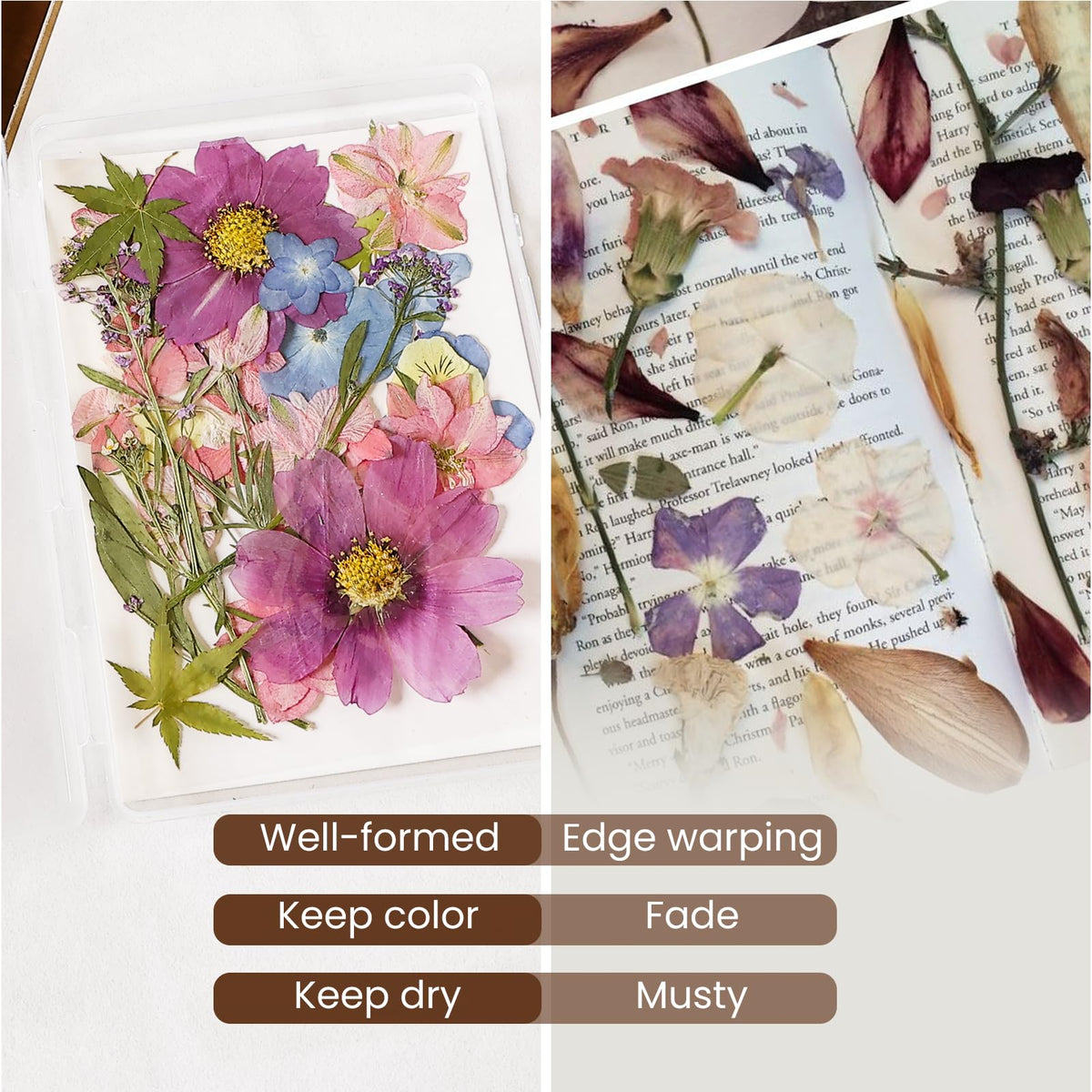 Aboofx blotting paper shields from light to slow fading.