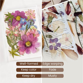 Aboofx blotting paper shields from light to slow fading.