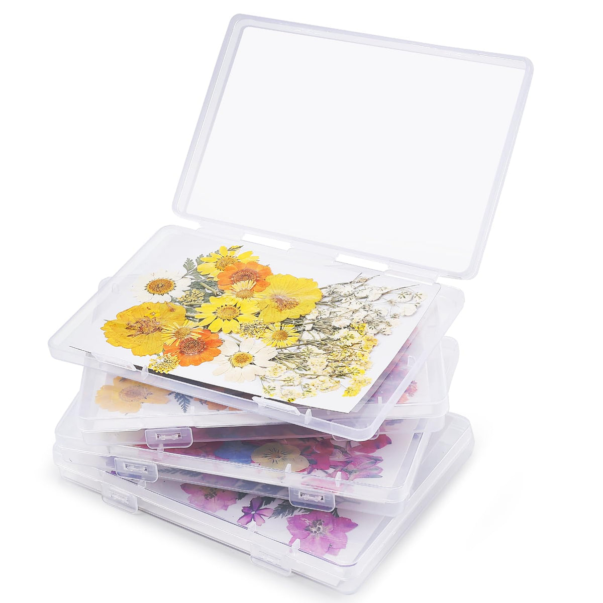 Aboofx storage boxes keep dried petals organized and colors bright.