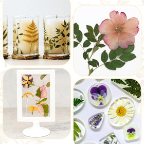 Aboofx durable felt pads enable repeated use in pressed flower art projects.