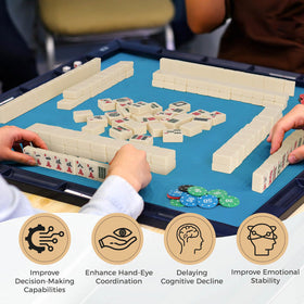Aceshmir included play-chips and dice support quick setup and smooth gameplay.