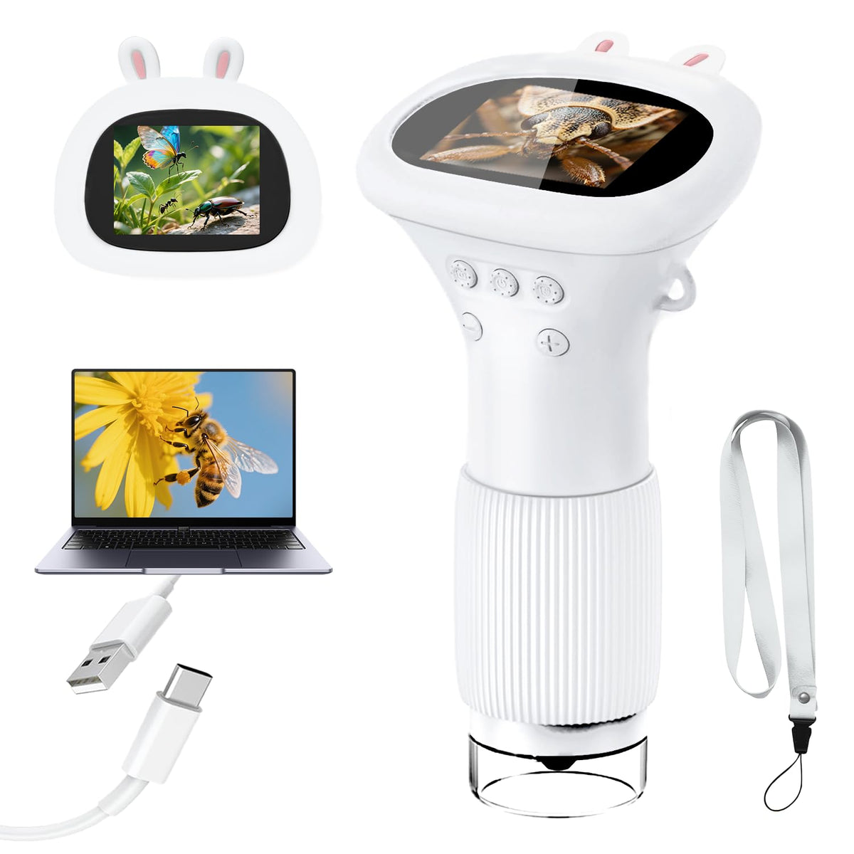 Acoath kids microscope with 1000X screen view reveals colorful details up close.