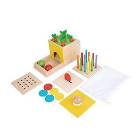 Adena Montessori 5-in-1 Matchstick Color Drop focusing on color recognition