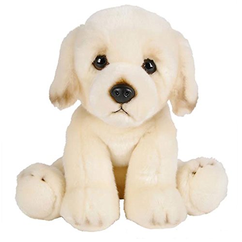 Adventure Planet Golden Retriever Plush gift-ready packaging, ideal for birthdays.