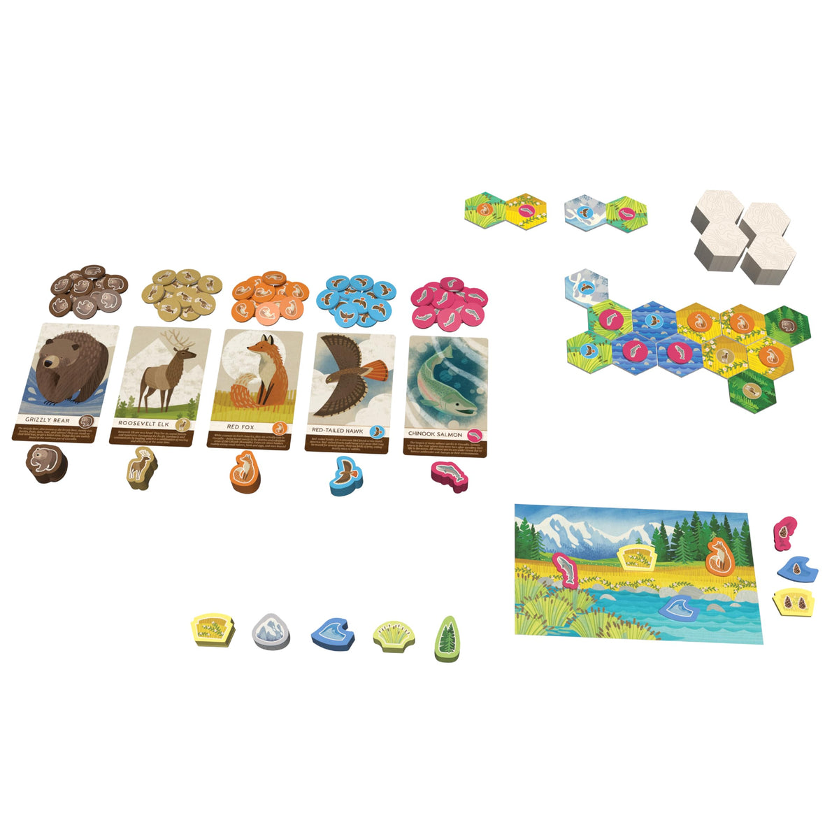 AEG Cascadia Junior board map visualizes habitats for spatial reasoning.