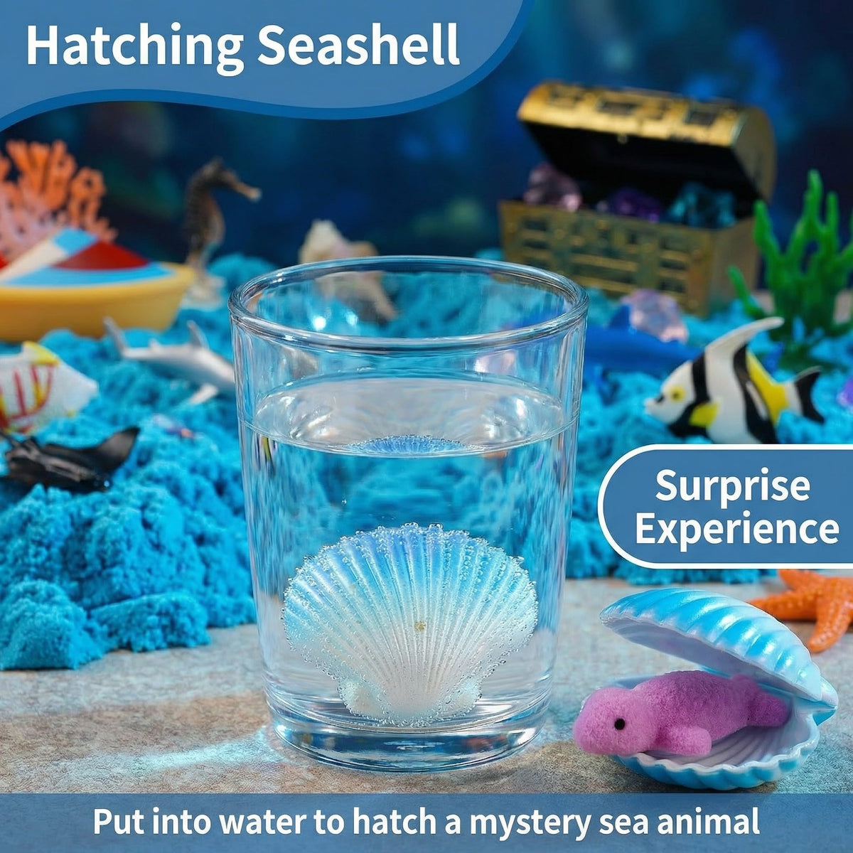 AGENTLAN Ocean Sensory Bin hatching seashell invites tactile exploration and curiosity.