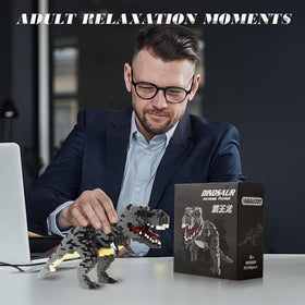 Aigidusansu dinosaur gift kit appeals to teens and adults 14 plus.