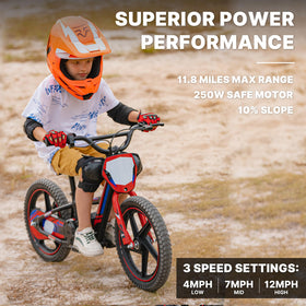 Rear disc brake on AIII bike ensures reliable stopping power for kids