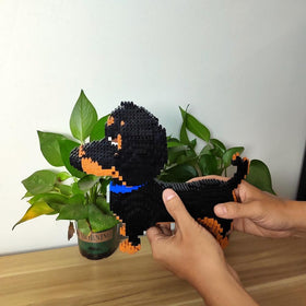 alltogetho dachshund model family bonding activity inspiring shared building fun.