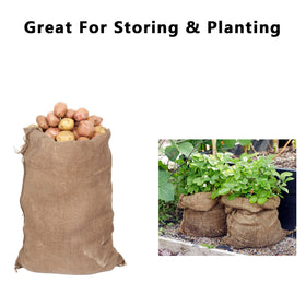 Alytree carnival and party decor-ready sacks for events.