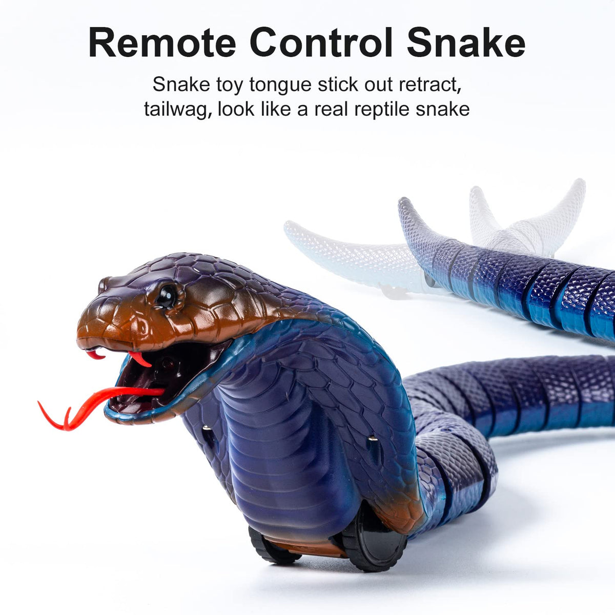 AMCHSURI blue cobra texture highlights authentic reptile detail.
