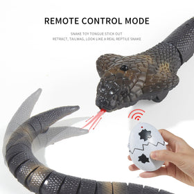 AMCHSURI cobra robot control interface enables precise remote steering