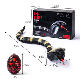 AMCHSURI snake toy enjoyed by kids and cats during play