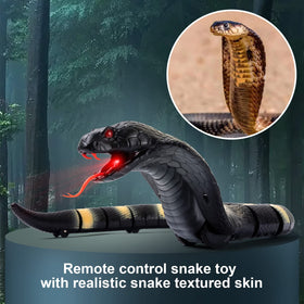 AMCHSURI segmented body enables smooth slithering motion