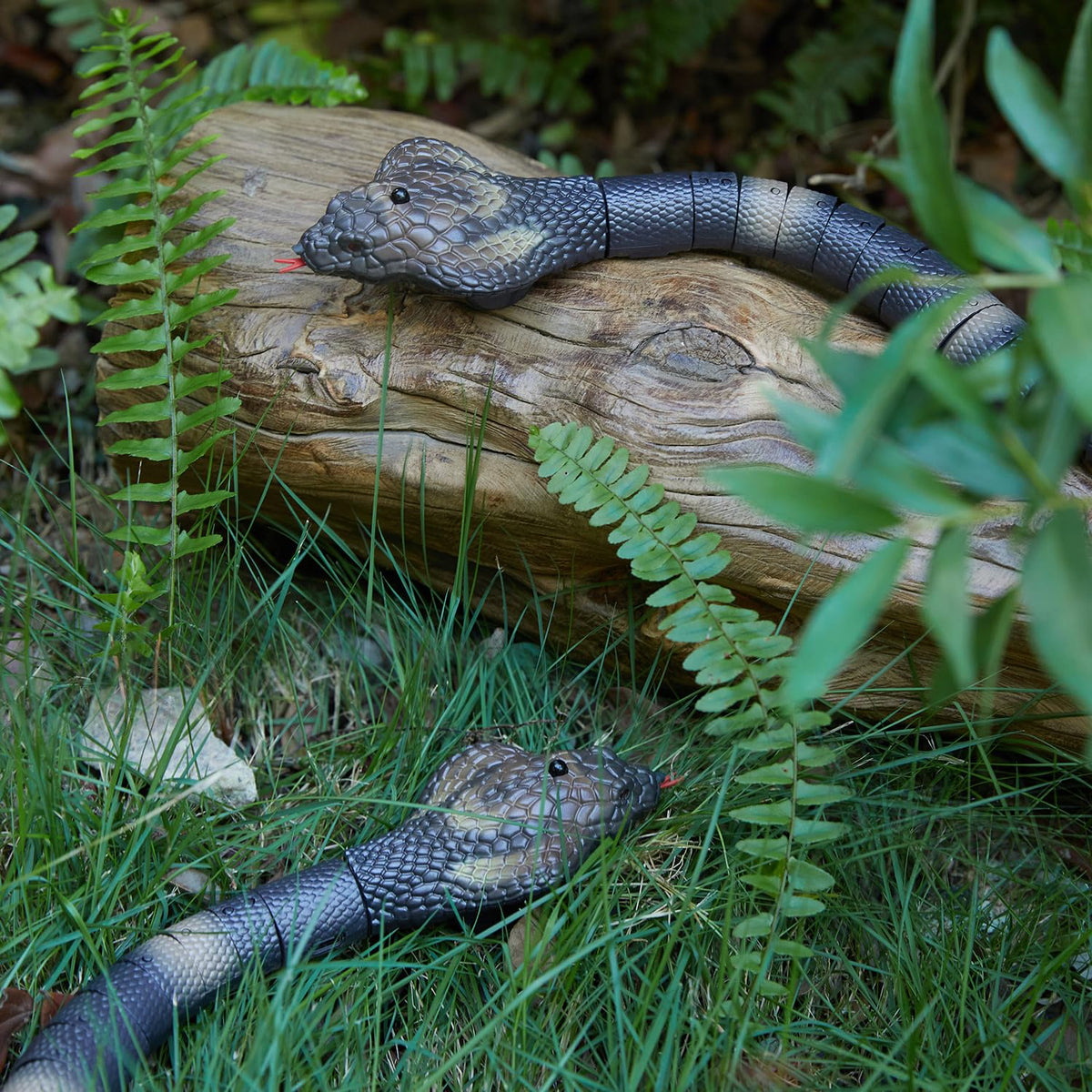 AMCHSURI remote control snakes coiled cobra action ideal for party tricks