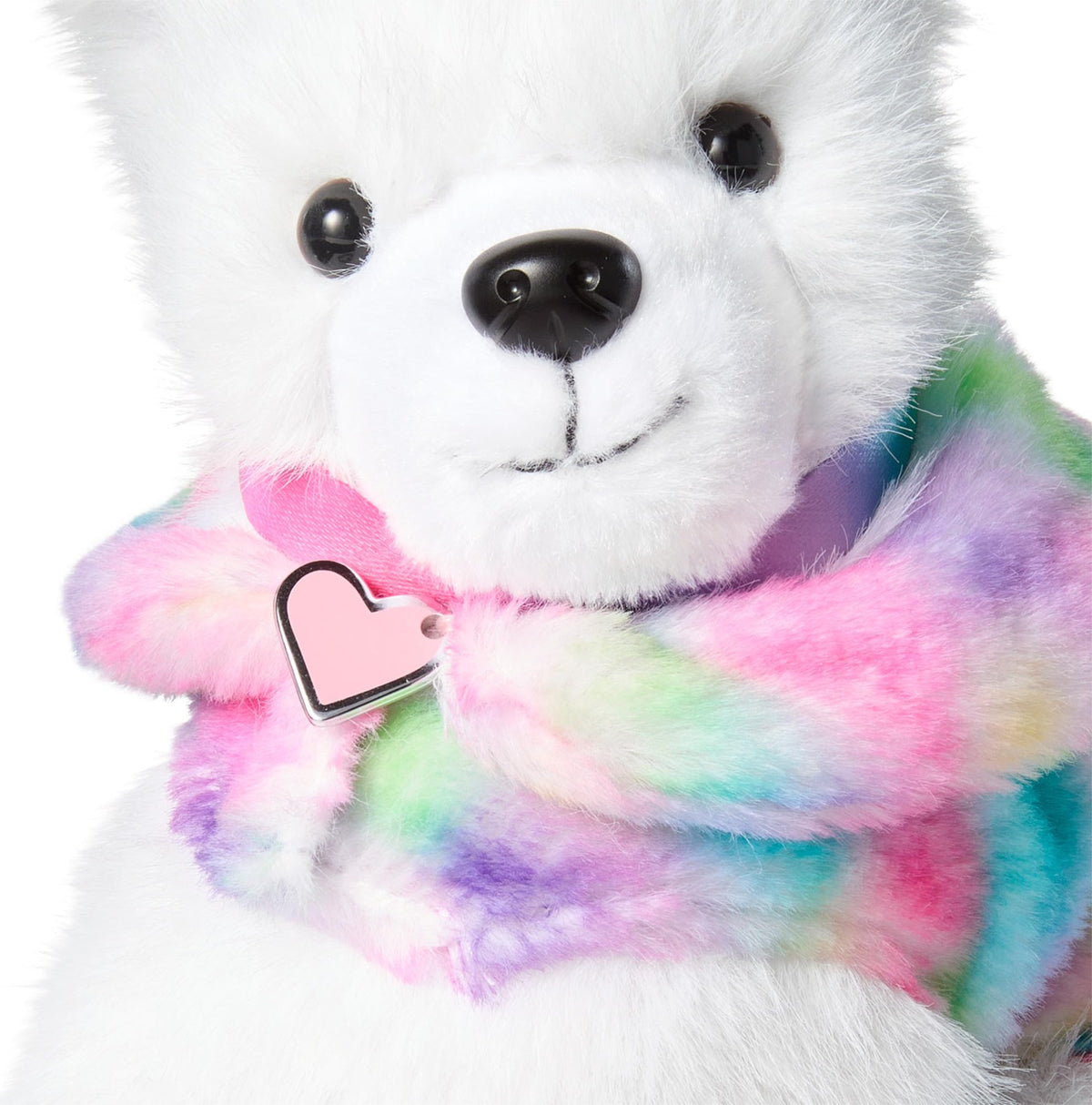 Rainbow collar with heart charm enhances cute pet styling in play.