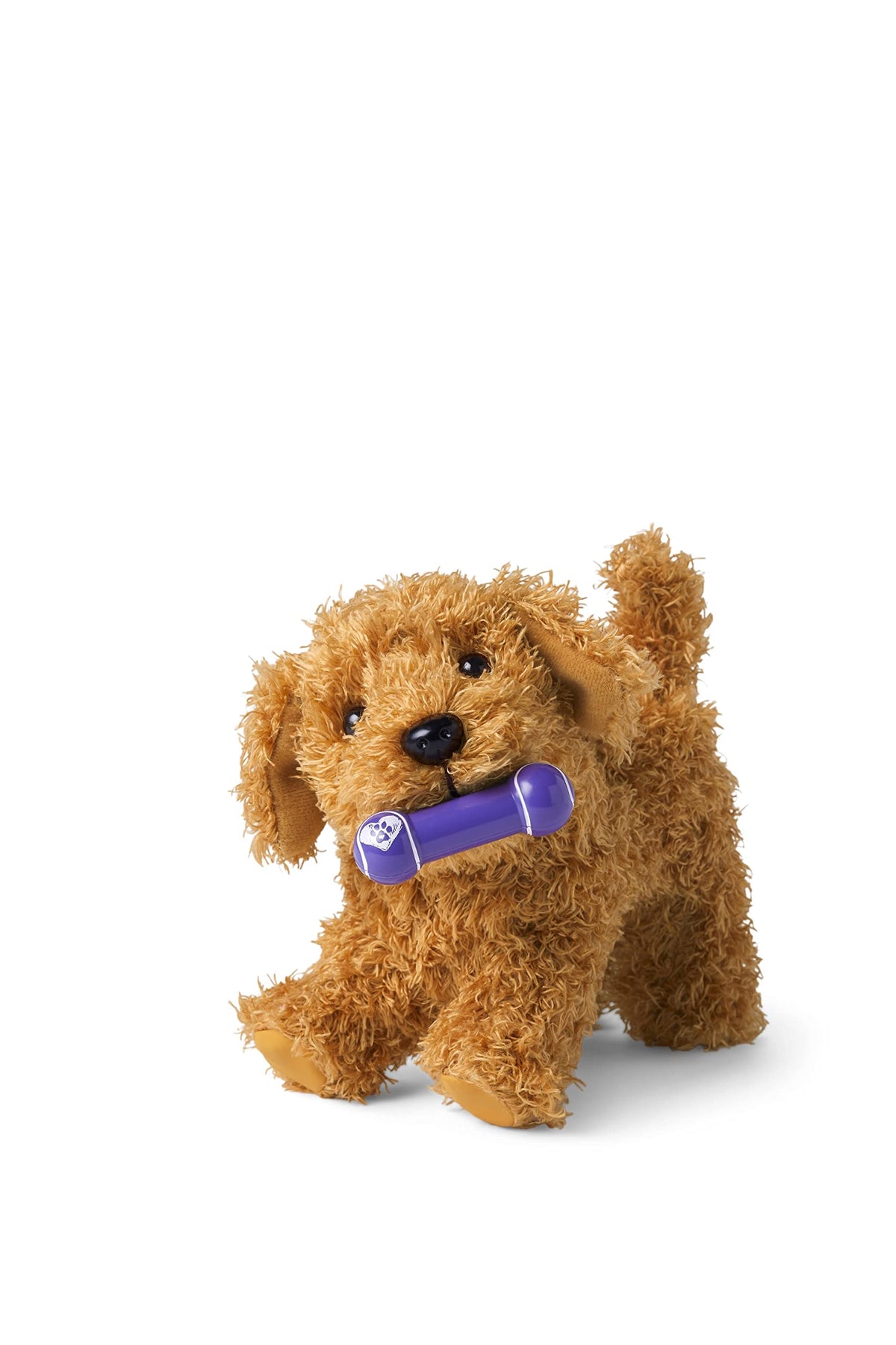 American Girl Daffodil Doodle Dog transforming box into a cozy pet house after play.