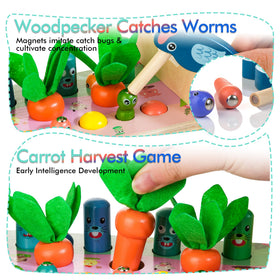 Amtreen carrot harvest teaches sequencing and grip control.