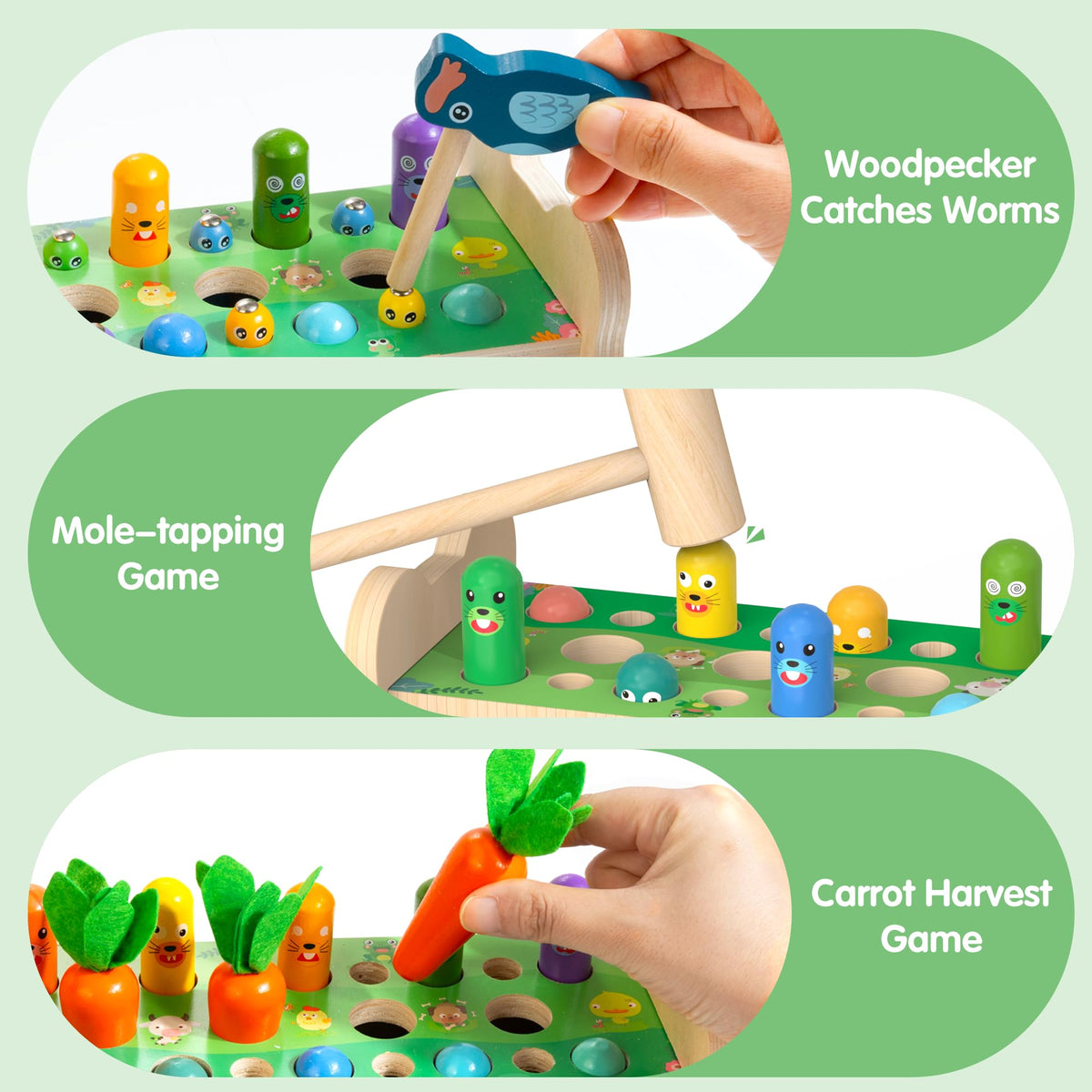 Amtreen frog clock learning with colorful clock faces for time concepts.