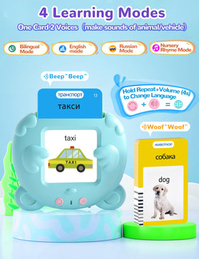ANhovno colorful images stimulate curiosity during bilingual vocabulary building