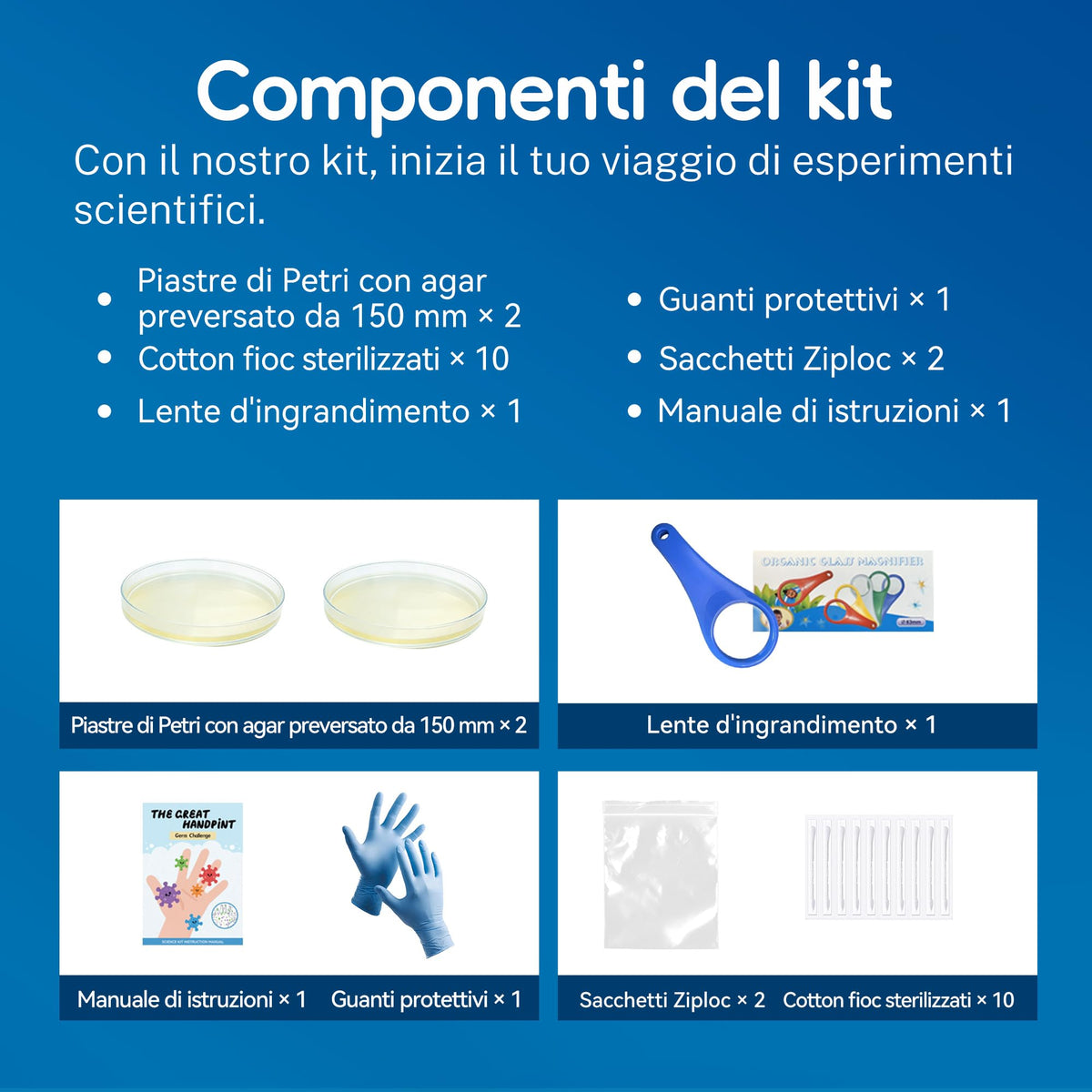 anlab 150mm agar petri dishes provide expanded growth area for observation.