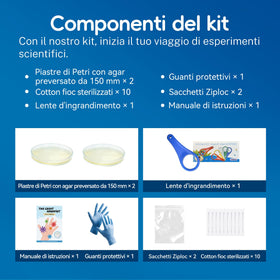 anlab 150mm agar petri dishes provide expanded growth area for observation.