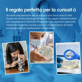 anlab protective gloves keep hands clean during kid-friendly experiments.