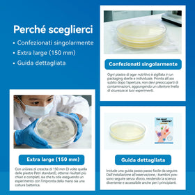 anlab sterile swabs enable safe, hands-on sampling for young scientists.