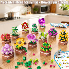 Desk-ready display of compact potted plants from Anvure