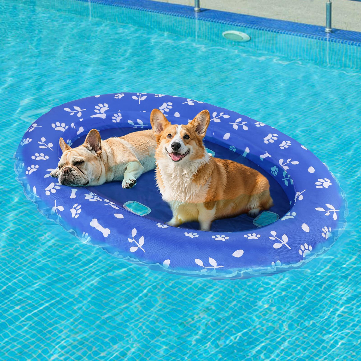 Apipi upgraded tear-resistant dog pool float, 25x41 inches for comfortable splash play.