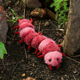 Apricot Lamb baby-friendly plush suitable from birth for sensory exploration.