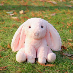 Apricot Lamb pink bunny face close-up showing friendly features.